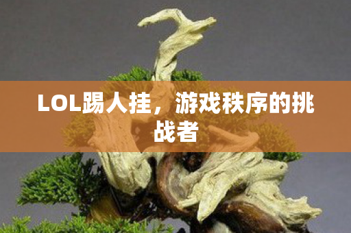 游戏秩序的挑战者图片