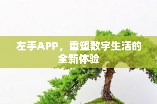 重塑数字生活的全新体验图片