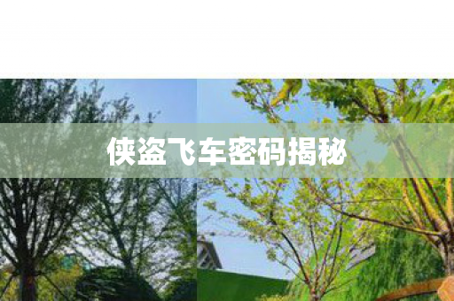 侠盗飞车密码揭秘图片