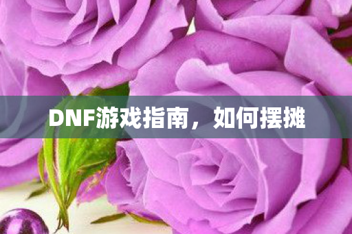 DNF游戏指南图片