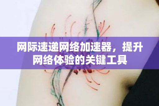 提升网络体验的关键工具图片