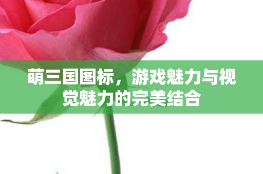 游戏魅力与视觉魅力的完美结合图片