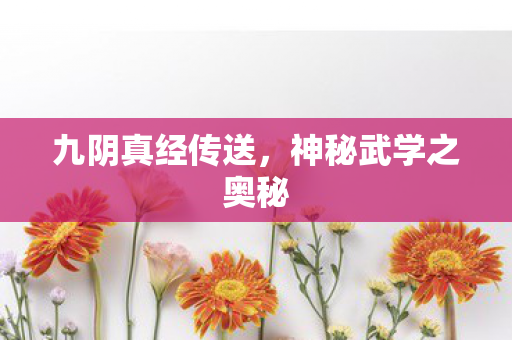 神秘武学之奥秘图片