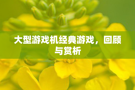 大型游戏机经典游戏图片
