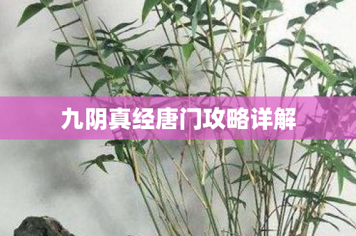 九阴真经唐门攻略详解图片
