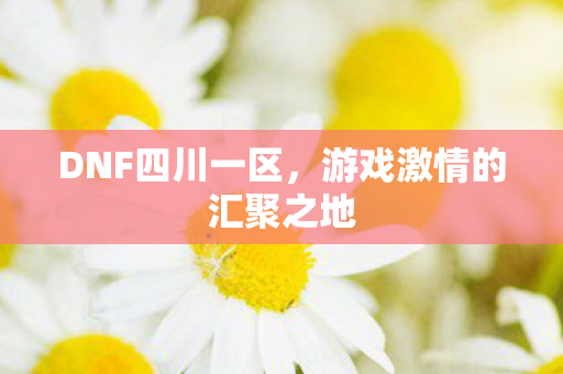 游戏激情的汇聚之地图片