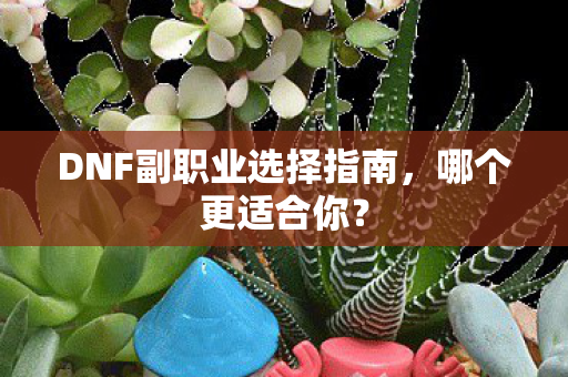 DNF副职业选择指南图片