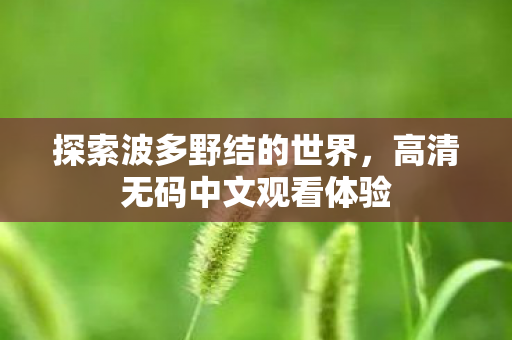 高清无码中文观看体验图片