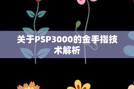 关于PSP3000的金手指技术解析图片