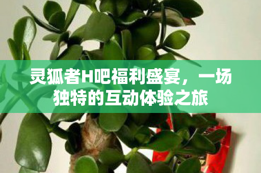 一场独特的互动体验之旅图片