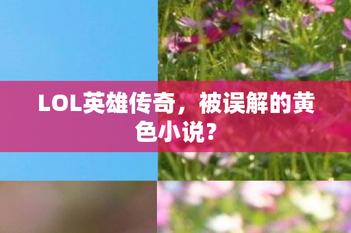 被误解的黄色小说图片