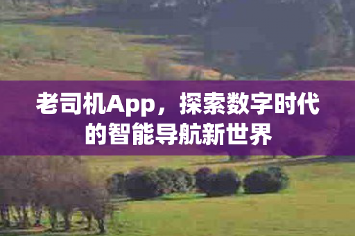 探索数字时代的智能导航新世界图片
