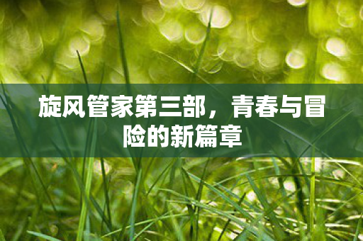 青春与冒险的新篇章图片