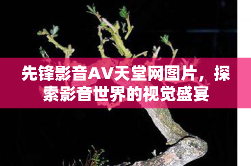 先锋影音AV天堂网图片图片