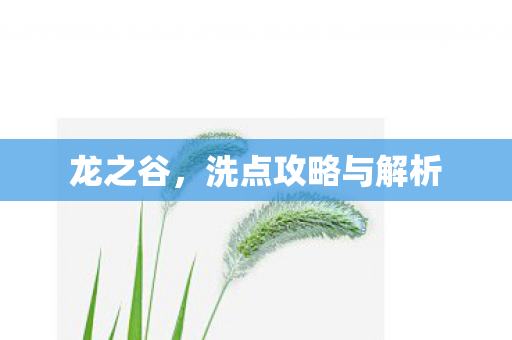 洗点攻略与解析图片