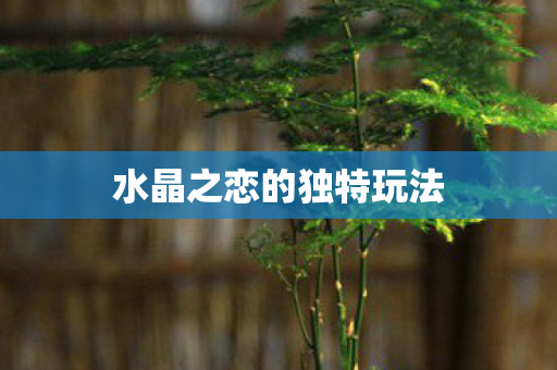 水晶之恋的独特玩法图片