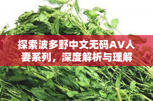 探索波多野中文无码AV人妻系列图片