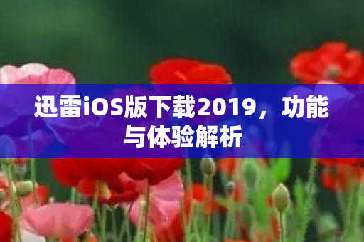 迅雷iOS版下载2019图片