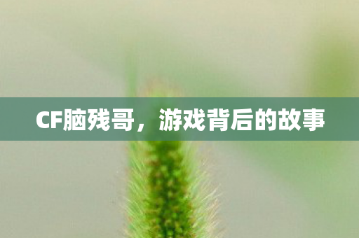 游戏背后的故事图片