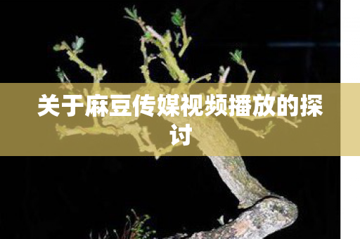 关于麻豆传媒视频播放的探讨图片