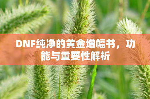 DNF纯净的黄金增幅书图片