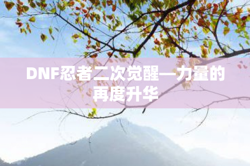 DNF忍者二次觉醒图片