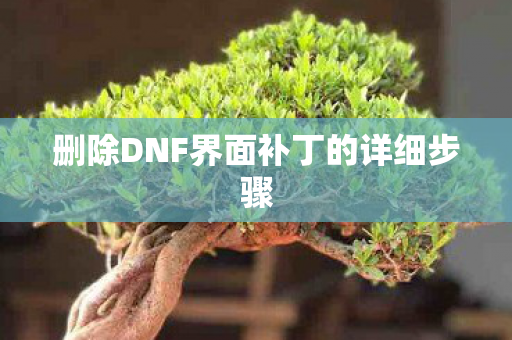 删除DNF界面补丁的详细步骤图片