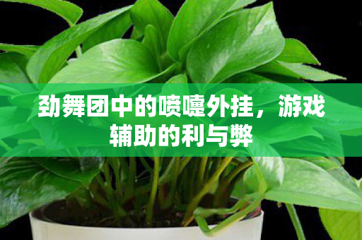 劲舞团中的喷嚏外挂图片