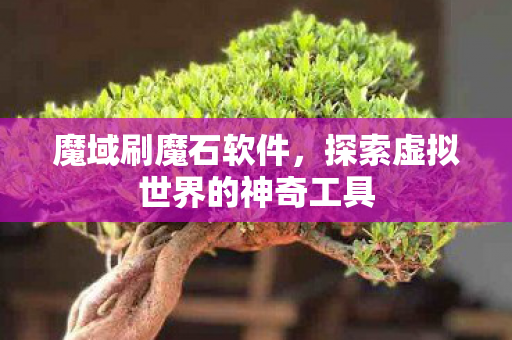 探索虚拟世界的神奇工具图片
