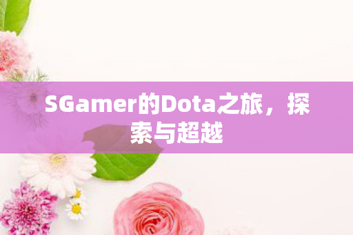 SGamer的Dota之旅图片