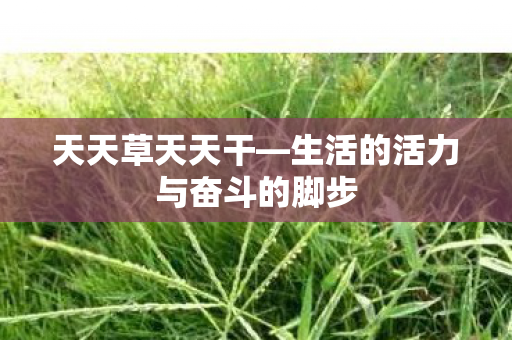 生活的活力与奋斗的脚步图片