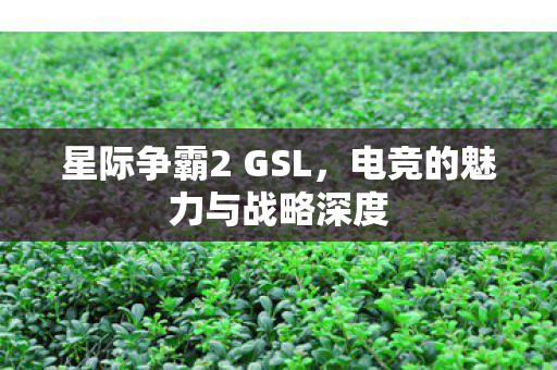 电竞的魅力与战略深度图片