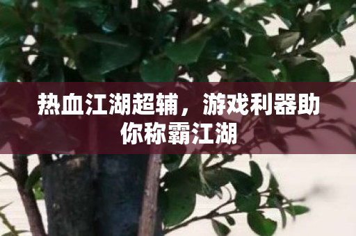 游戏利器助你称霸江湖图片