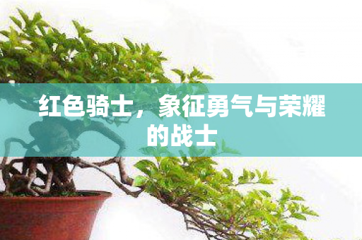 象征勇气与荣耀的战士图片