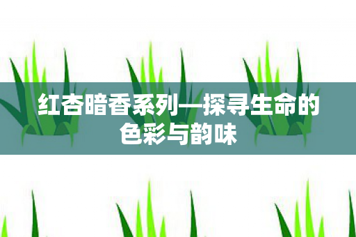 探寻生命的色彩与韵味图片
