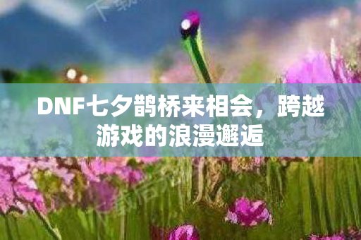 DNF七夕鹊桥来相会图片