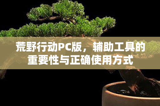 辅助工具的重要性与正确使用方式图片