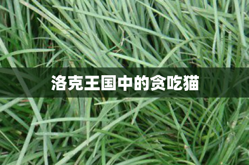 洛克王国中的贪吃猫图片