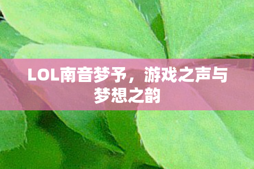 游戏之声与梦想之韵图片