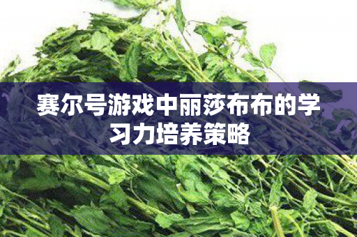 赛尔号游戏中丽莎布布的学习力培养策略图片