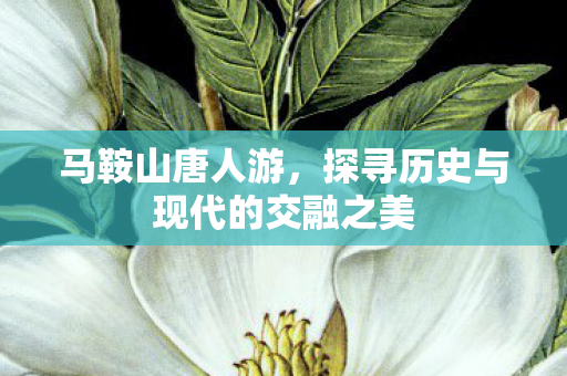 探寻历史与现代的交融之美图片