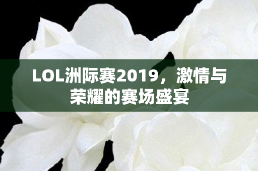 LOL洲际赛2019图片