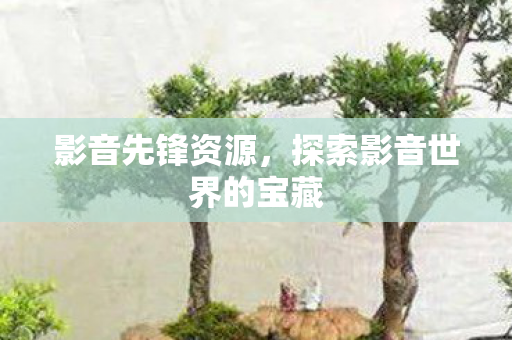 探索影音世界的宝藏图片