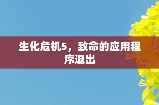 致命的应用程序退出图片