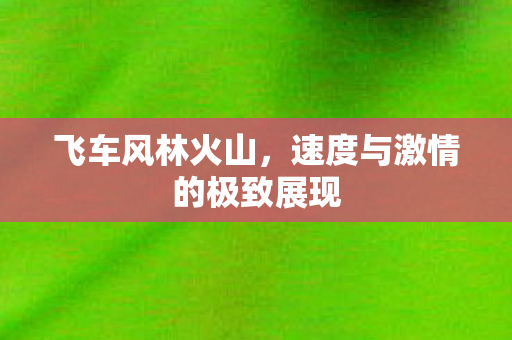 速度与激情的极致展现图片