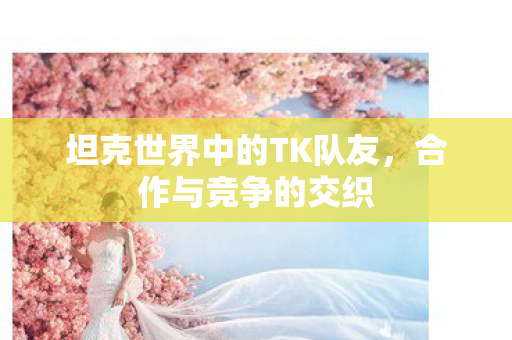 坦克世界中的TK队友图片