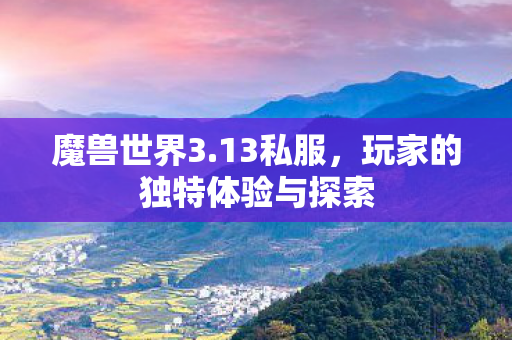 玩家的独特体验与探索图片