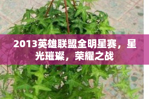 2013英雄联盟全明星赛图片