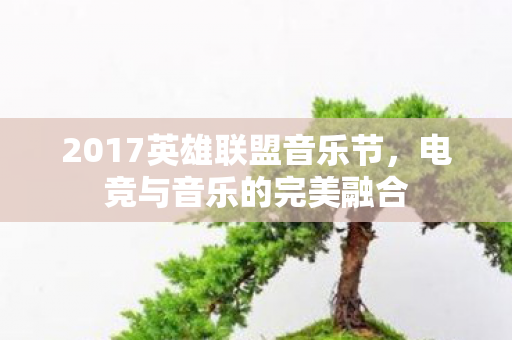 2017英雄联盟音乐节图片