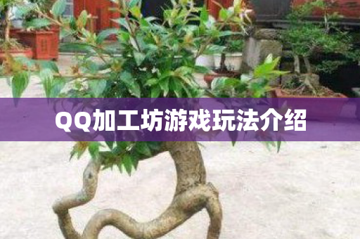 QQ加工坊游戏玩法介绍图片